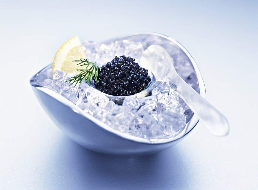 Black caviar on ice